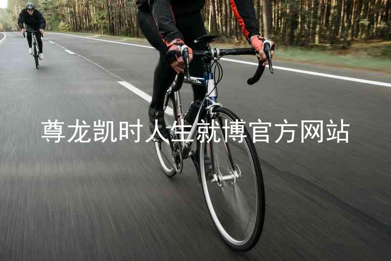 尊龙凯时人生就博官方网站